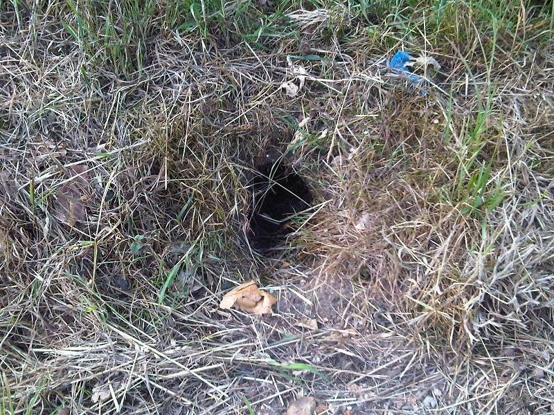 Underground Escape: The Subterranean Solution (image credits: wikimedia)