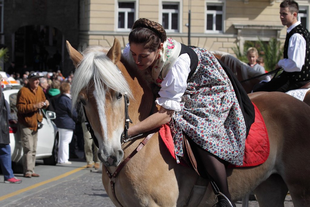 The Future of Horse-Human Emotional Research (image credits: flickr)