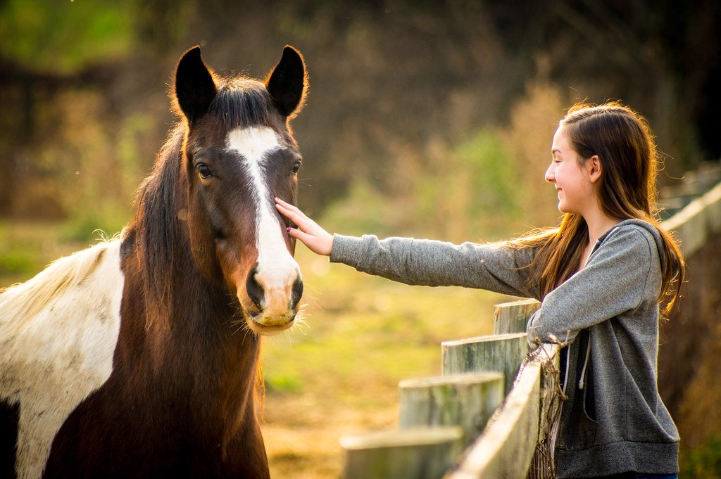 Building Stronger Emotional Connections (image credits: flickr)