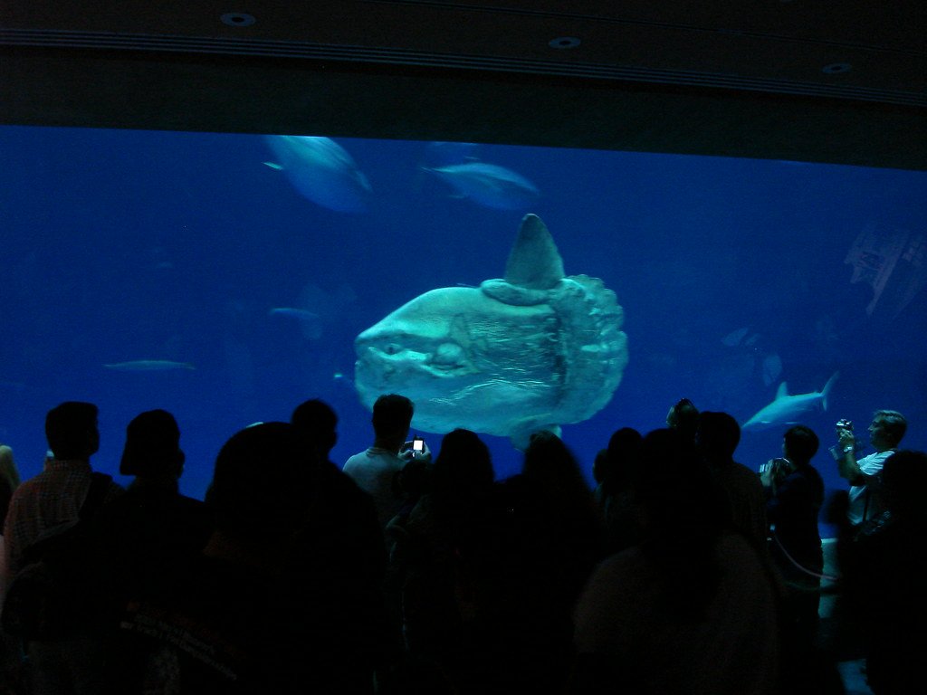 Research Breakthroughs and Technology (image credits: flickr)