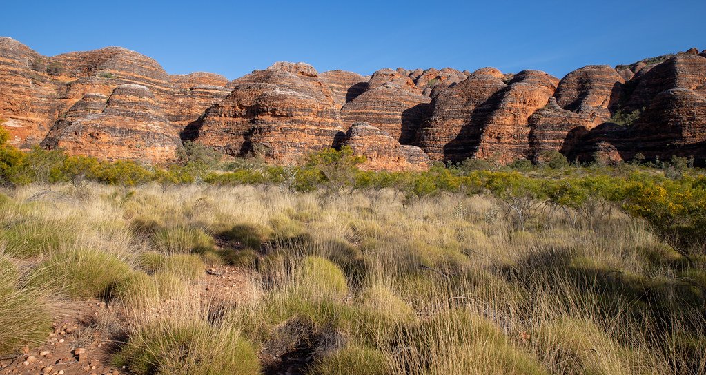 The Mystery of the Striped Patterns (image credits: flickr)