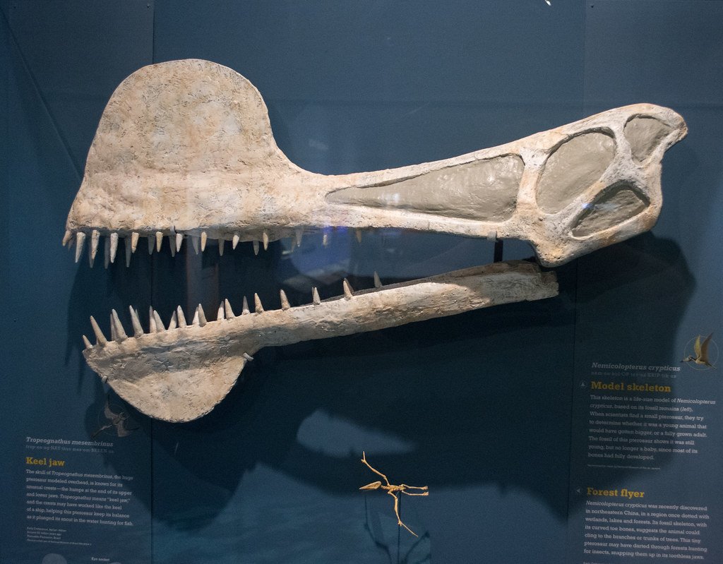 Energy Efficiency and Flight Sustainability (image credits: flickr)