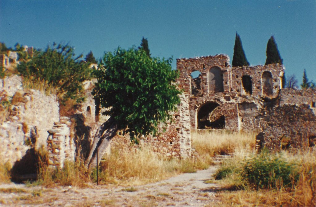 Chemical Memory Banks in Tree Cells (image credits: flickr)