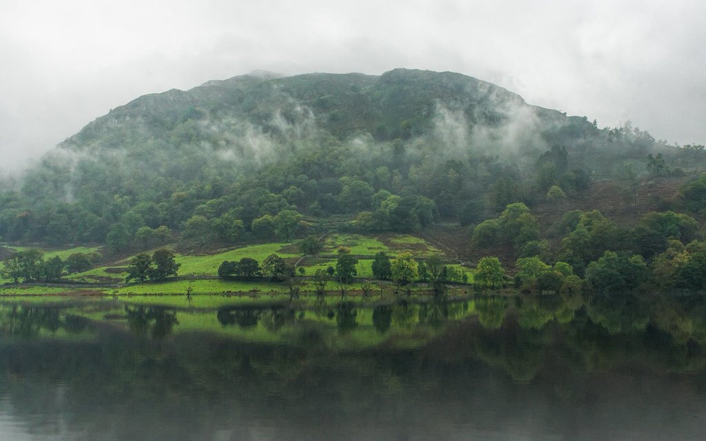 Seasonal Memory and Timing Precision (image credits: flickr)