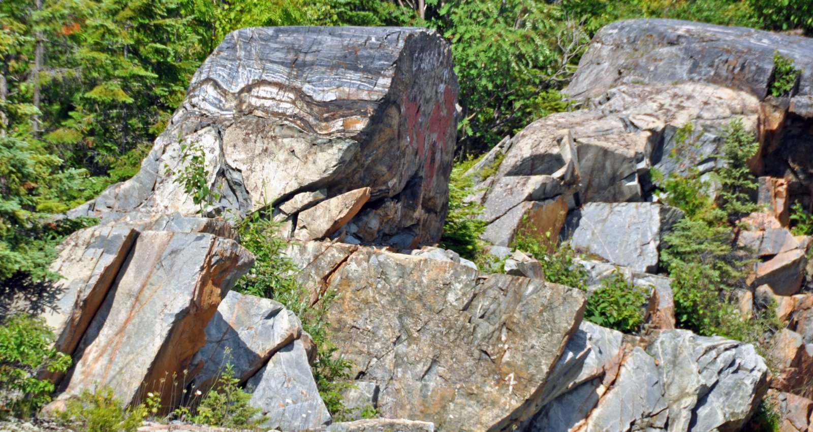 Ancient Foundations: The Archean Basement (image credits: wikimedia)