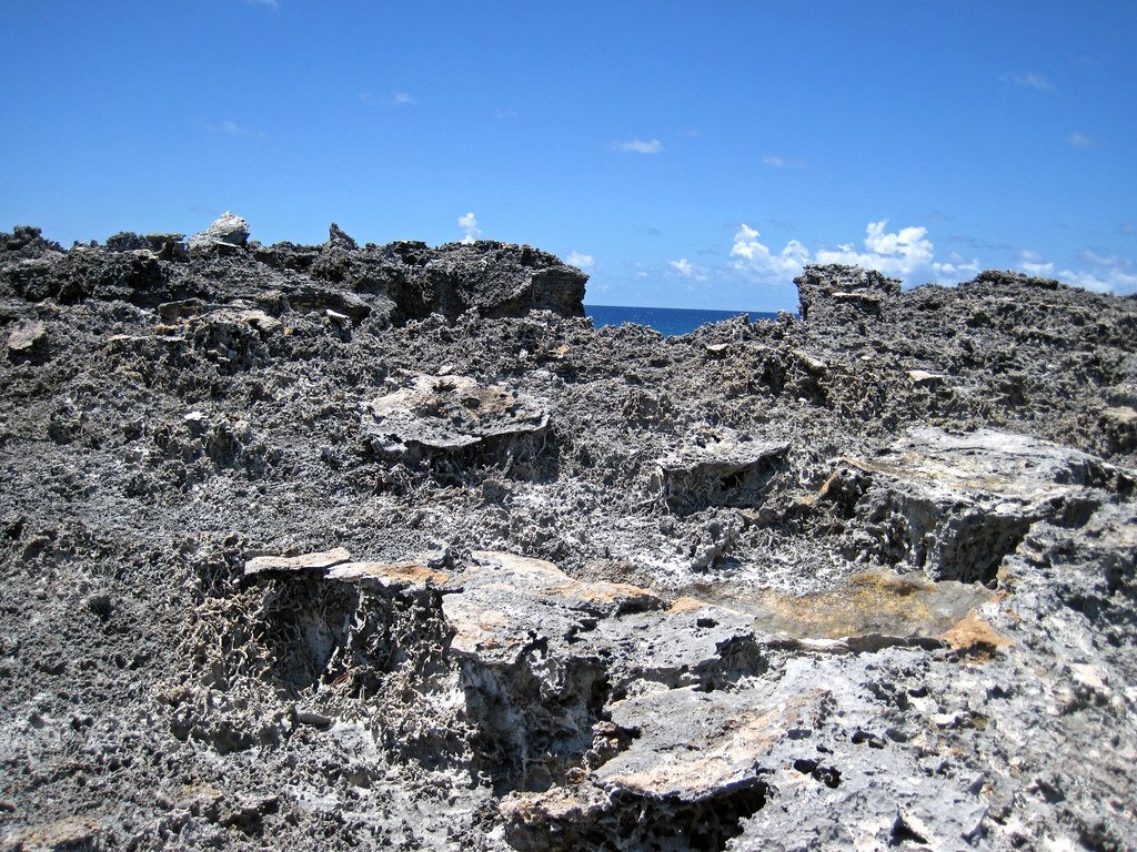 Climate Chronicles: Ancient Weather Patterns (image credits: flickr)