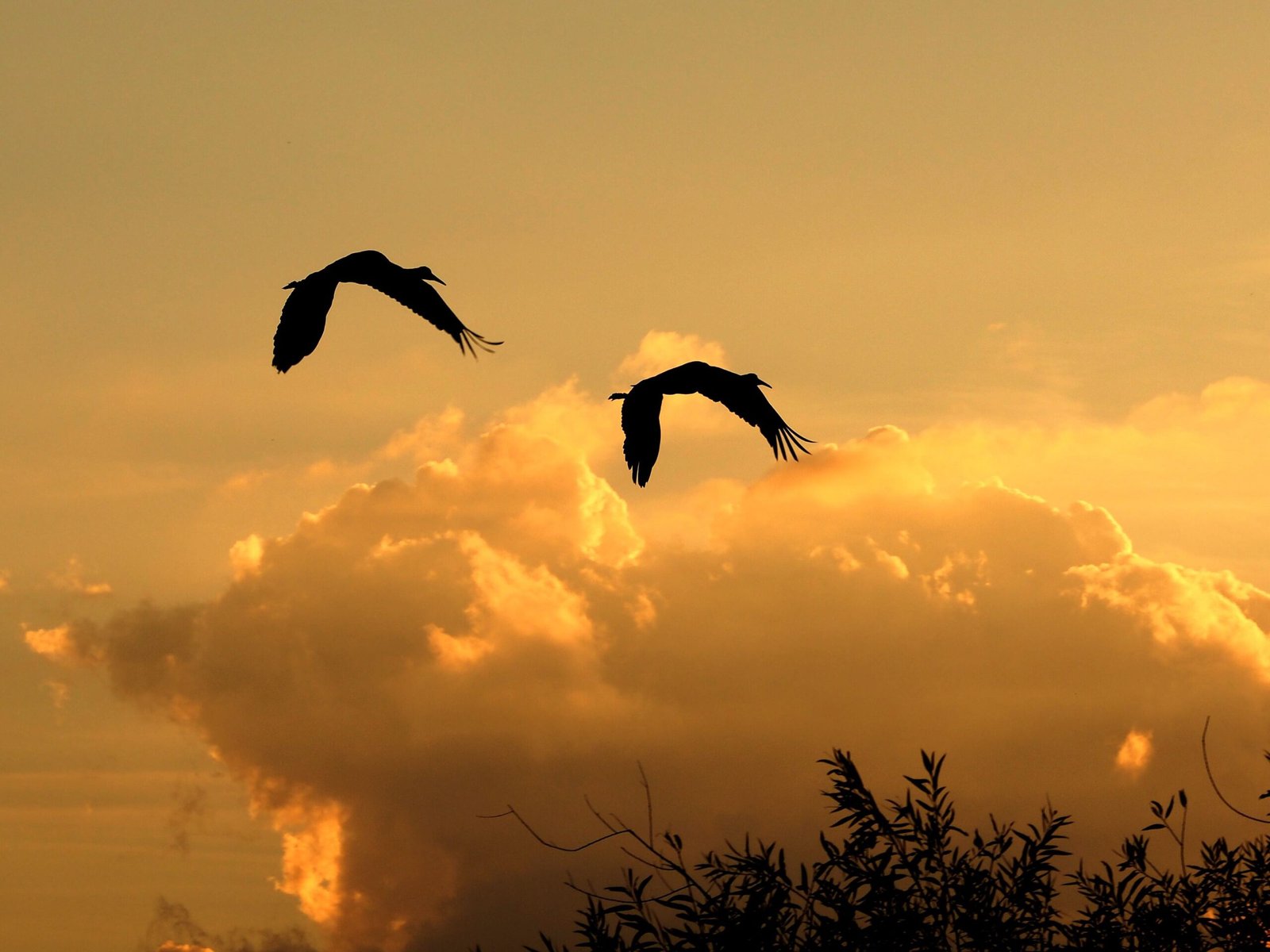 Atmospheric Density and Ancient Skies (image credits: wikimedia)