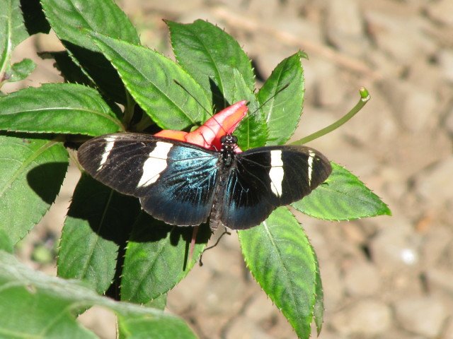 Defensive Strategies and Countermeasures (image credits: flickr)