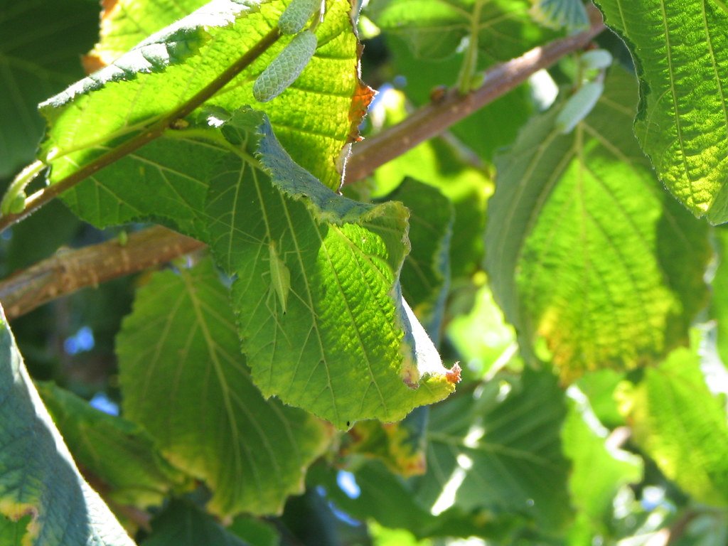 Modern Scientific Applications (image credits: flickr)