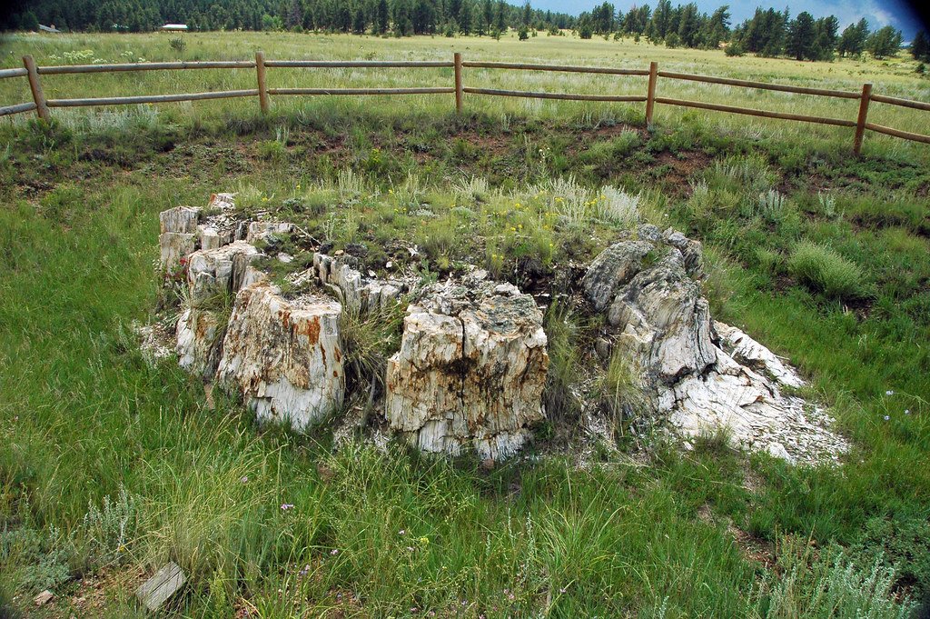 Why Giants Couldn't Survive the Changing World (image credits: flickr)