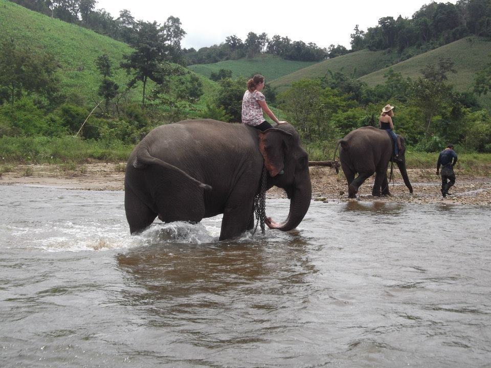 Conservation Implications and Future Research (image credits: flickr)