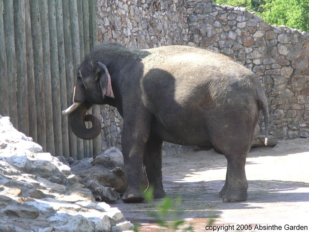 Conclusion: Science Behind the Myth (image credits: flickr)