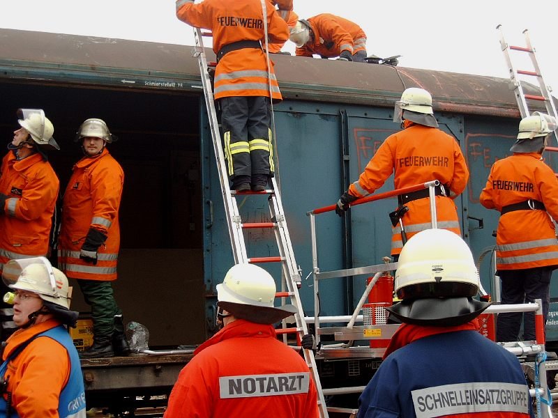 Preparation and Survival Strategies (image credits: wikimedia)