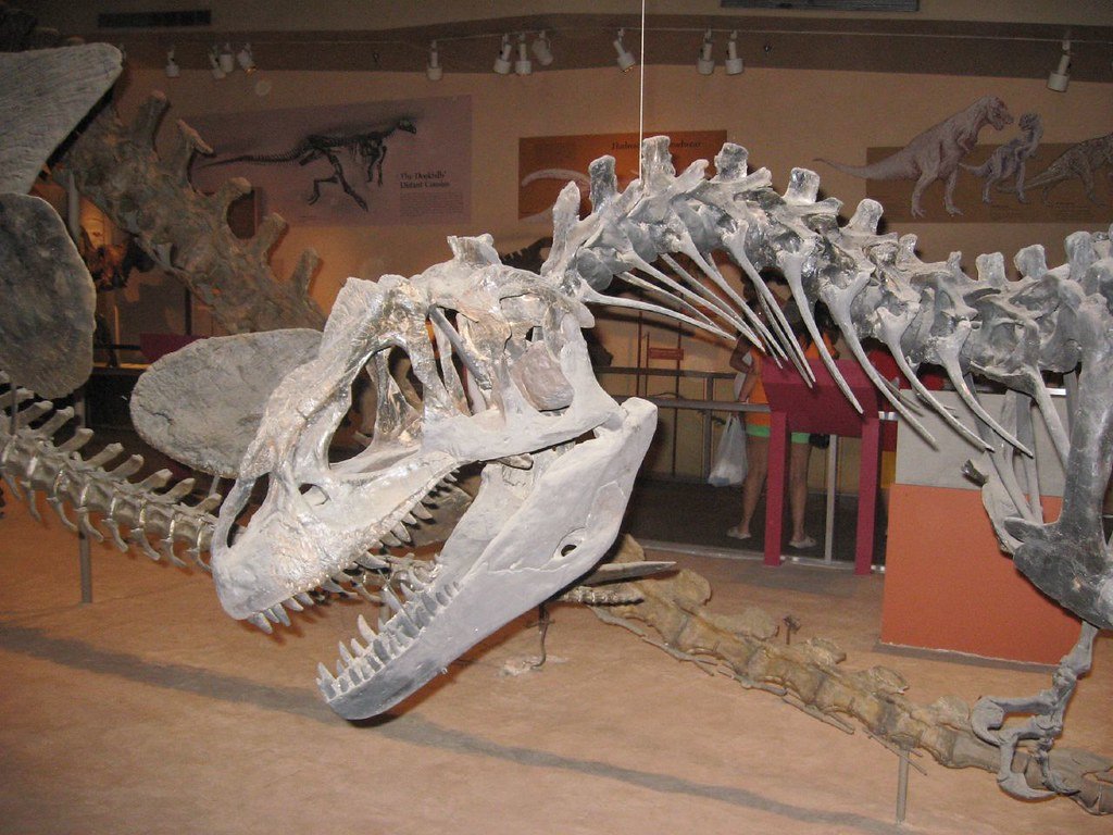 Global Impact on Dinosaur Research (image credits: flickr)