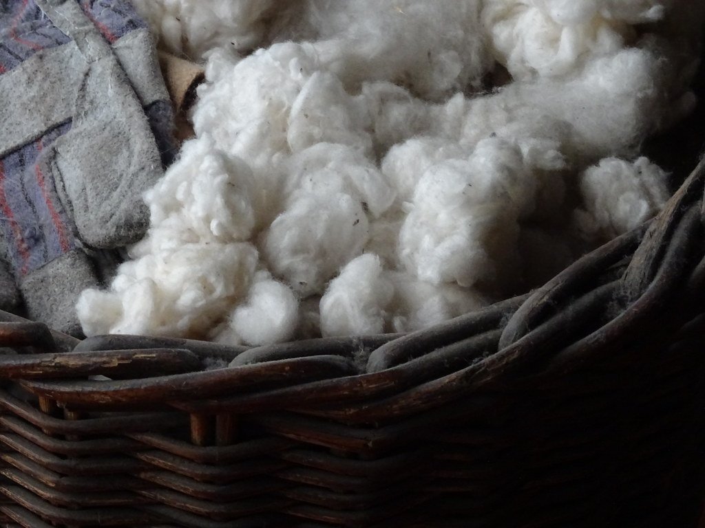 The Cotton Gin: Innovation with Devastating Consequences (image credits: flickr)
