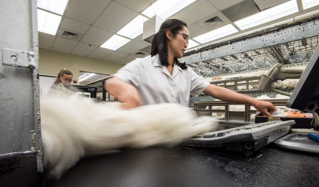 The Hidden Costs of Fast Fashion (image credits: flickr)