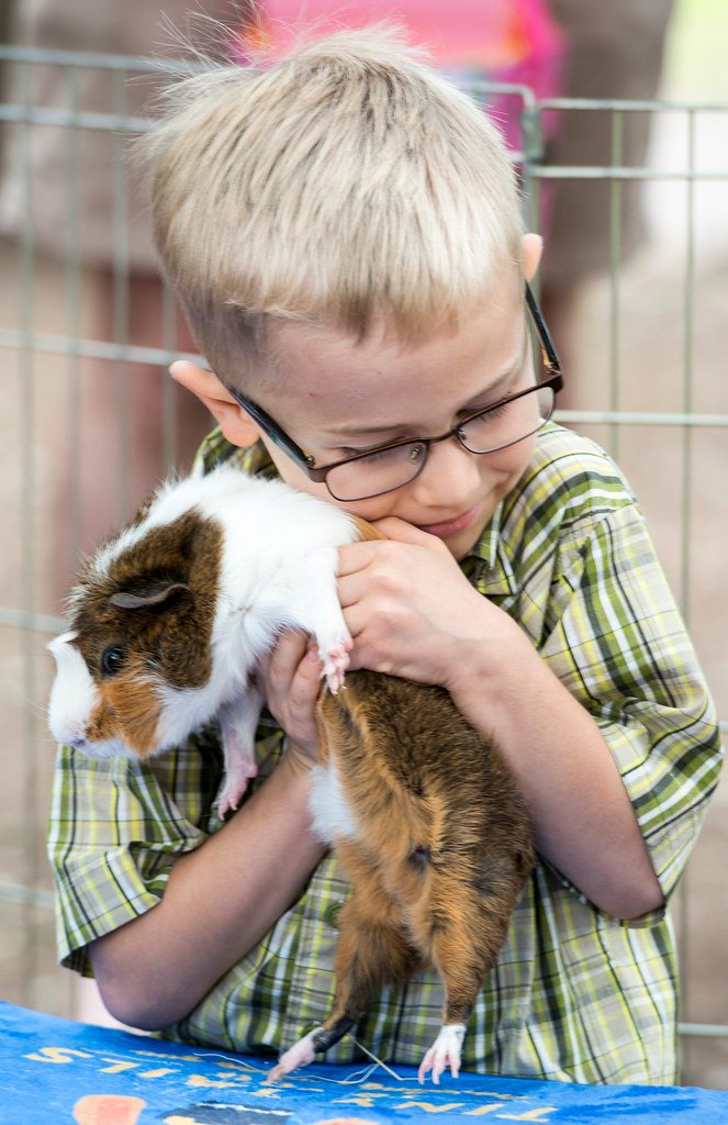 Ethical Considerations and Welfare Standards (image credits: flickr)