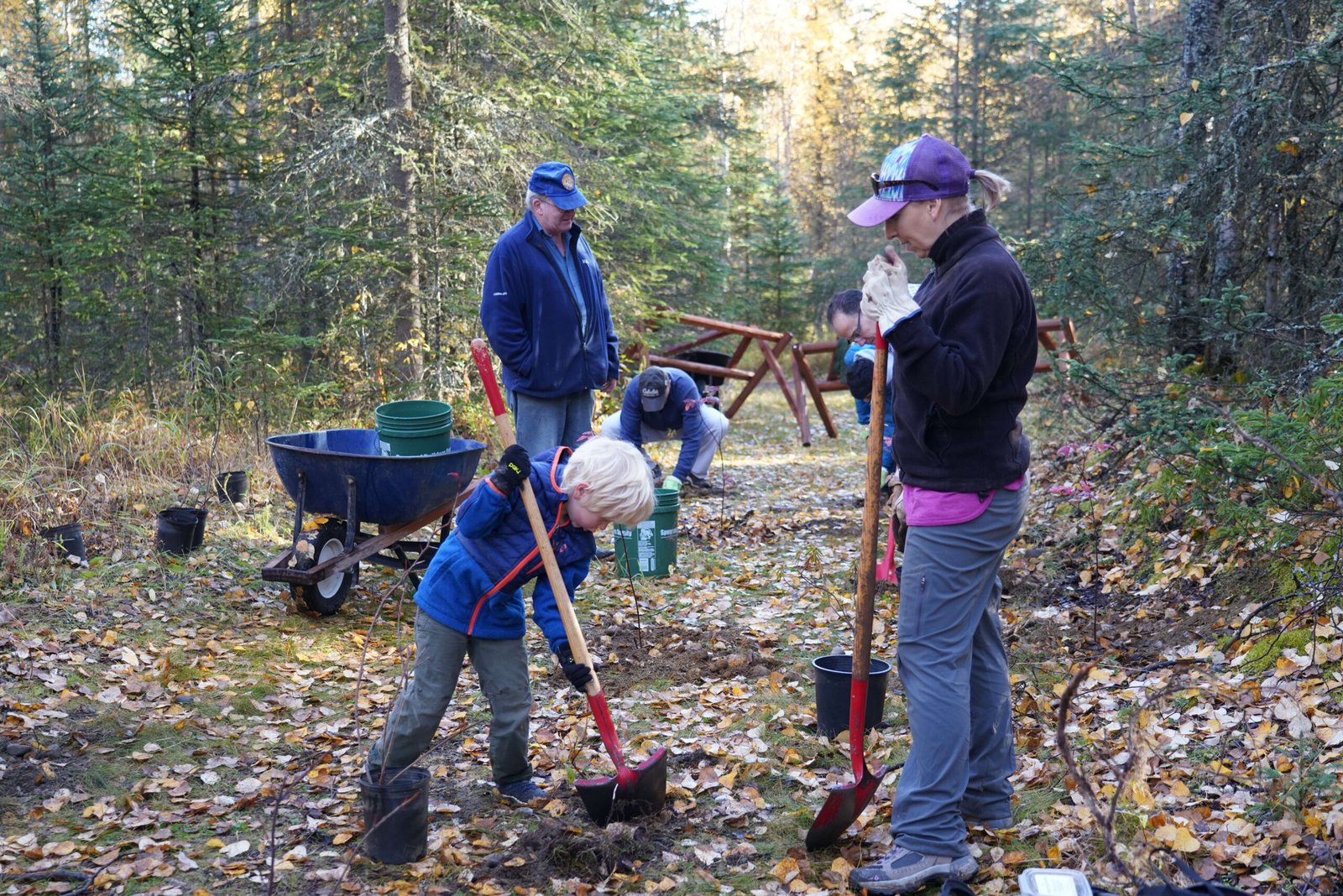 The Economic Benefits of Native Plant Restoration (image credits: wikimedia)