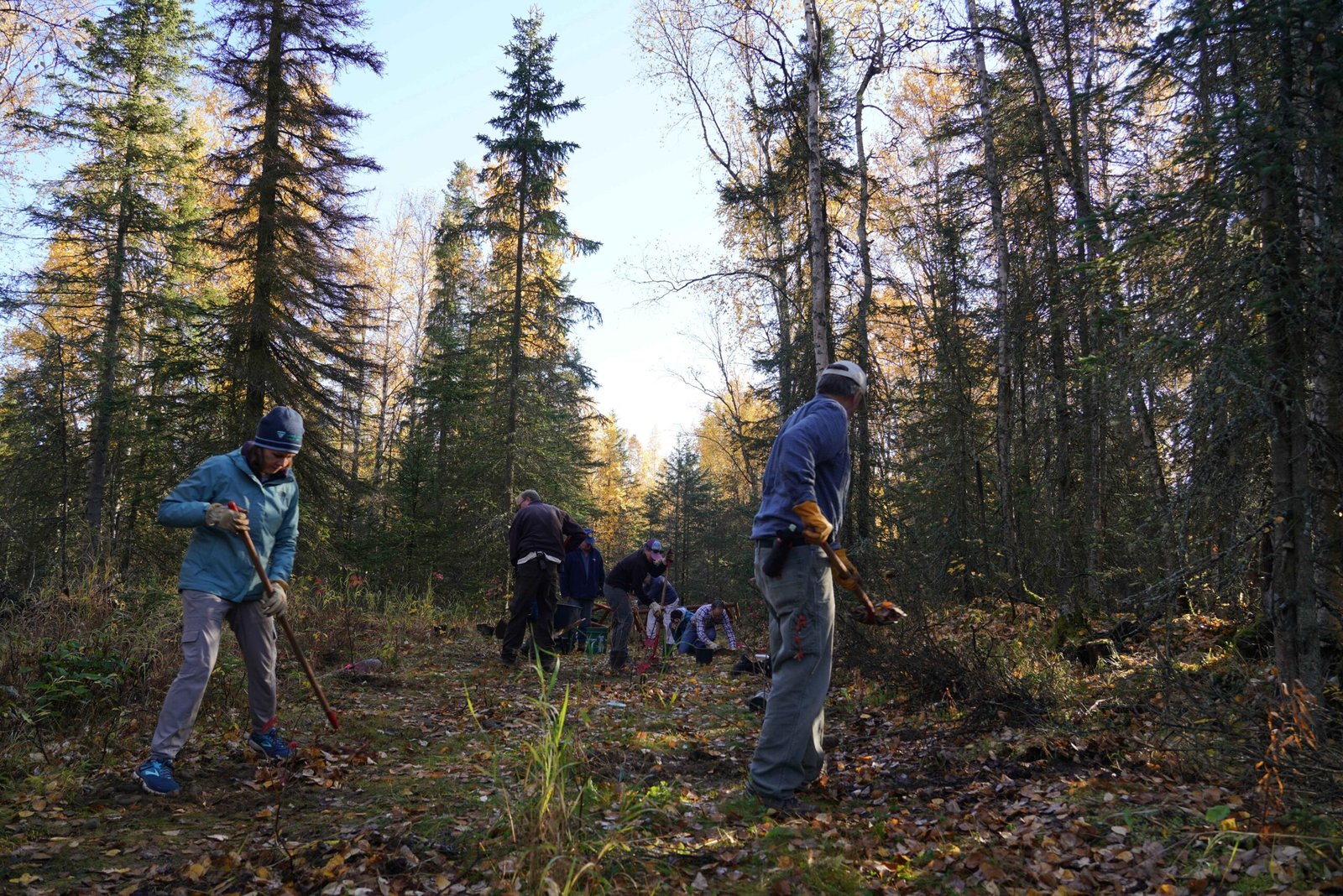 Climate Change Impacts on Fire Recovery (image credits: wikimedia)