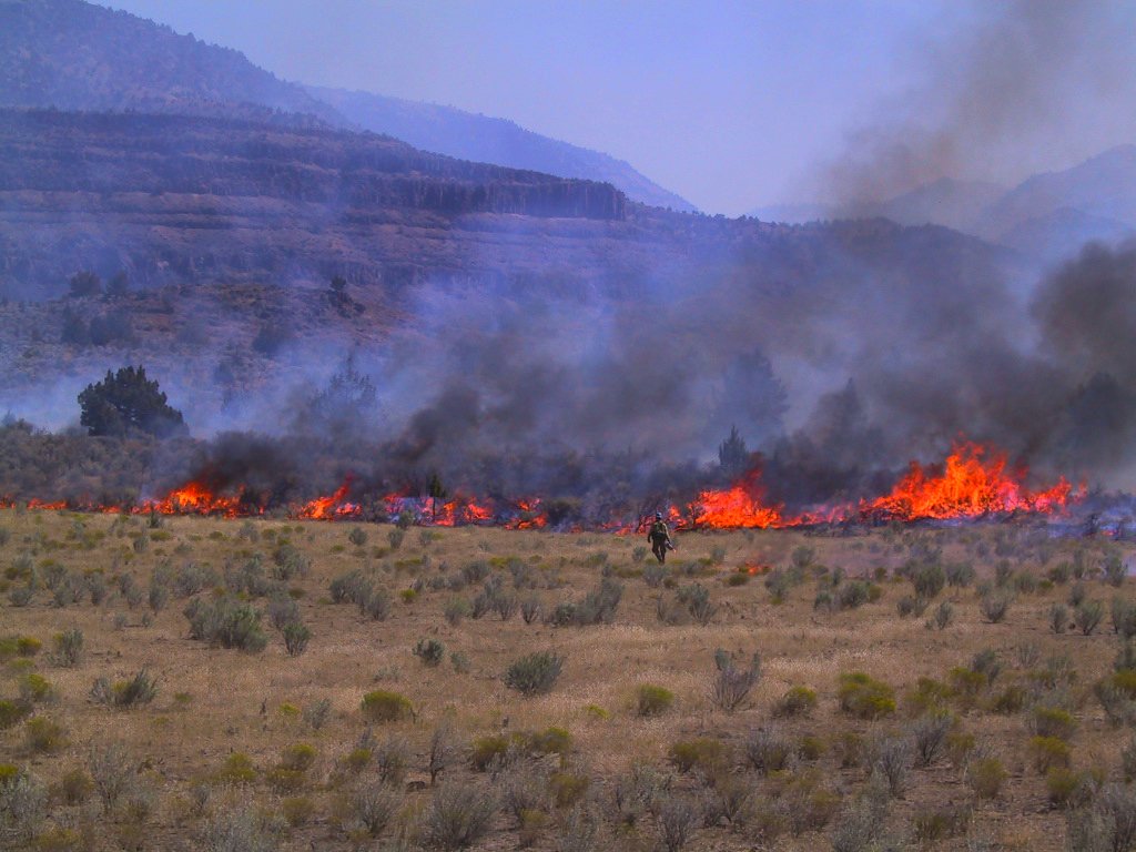 Building Resilient Landscapes for the Future (image credits: flickr)