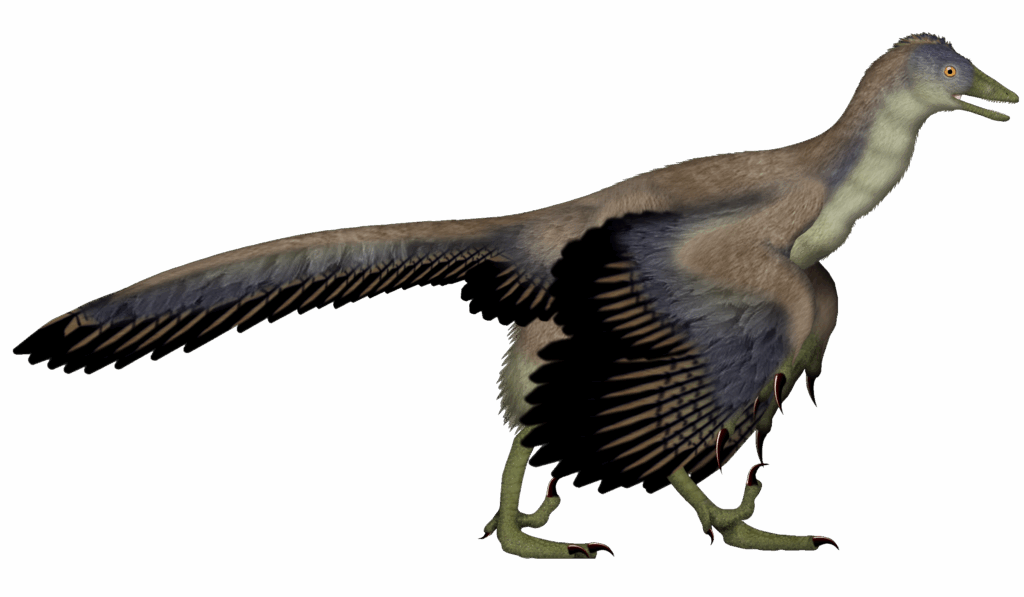 Archaeopteryx.
