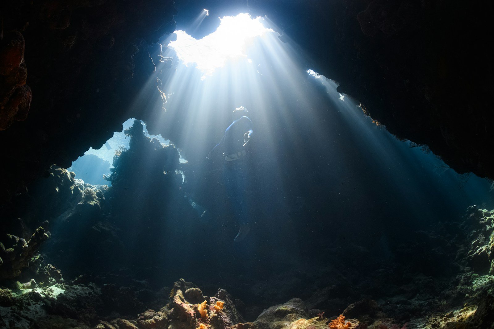 The Underwater Caves of Florida: Secrets From the World’s Largest Karst System