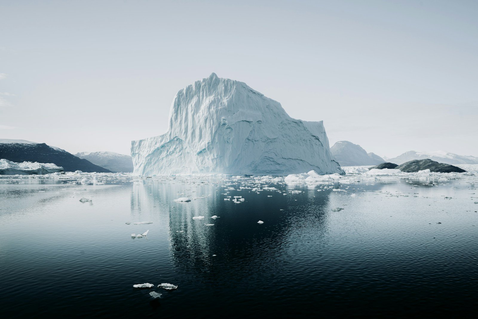 What Melting Sea Ice Means for the Planet – and the Species Who Depend on It