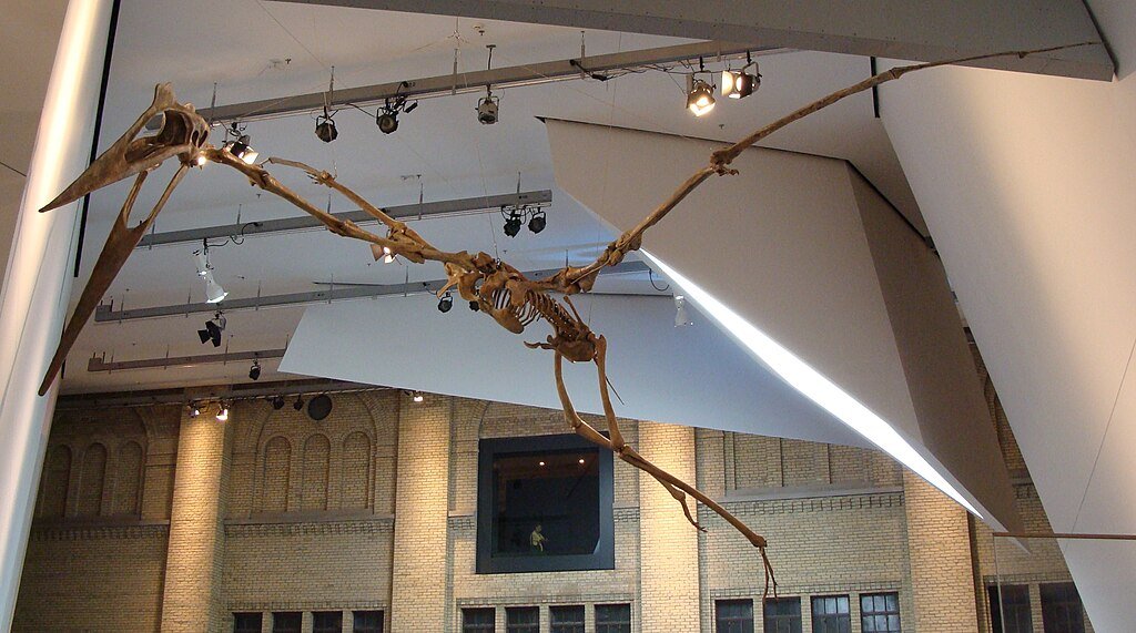Quetzalcoatlus