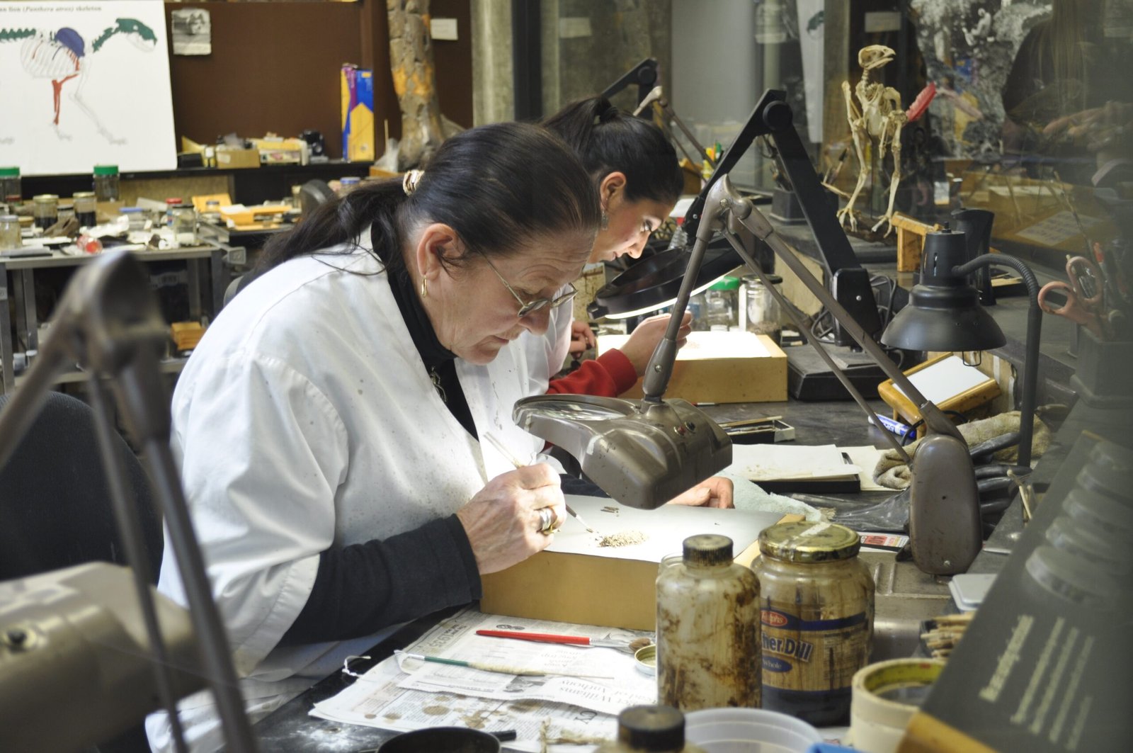 The Debate Inside the Lab (image credits: wikimedia)