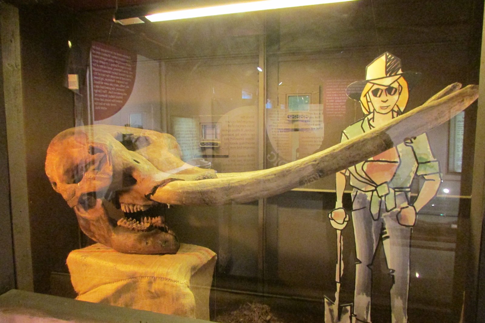 Across the Atlantic: America’s Giant Problem (image credits: wikimedia)