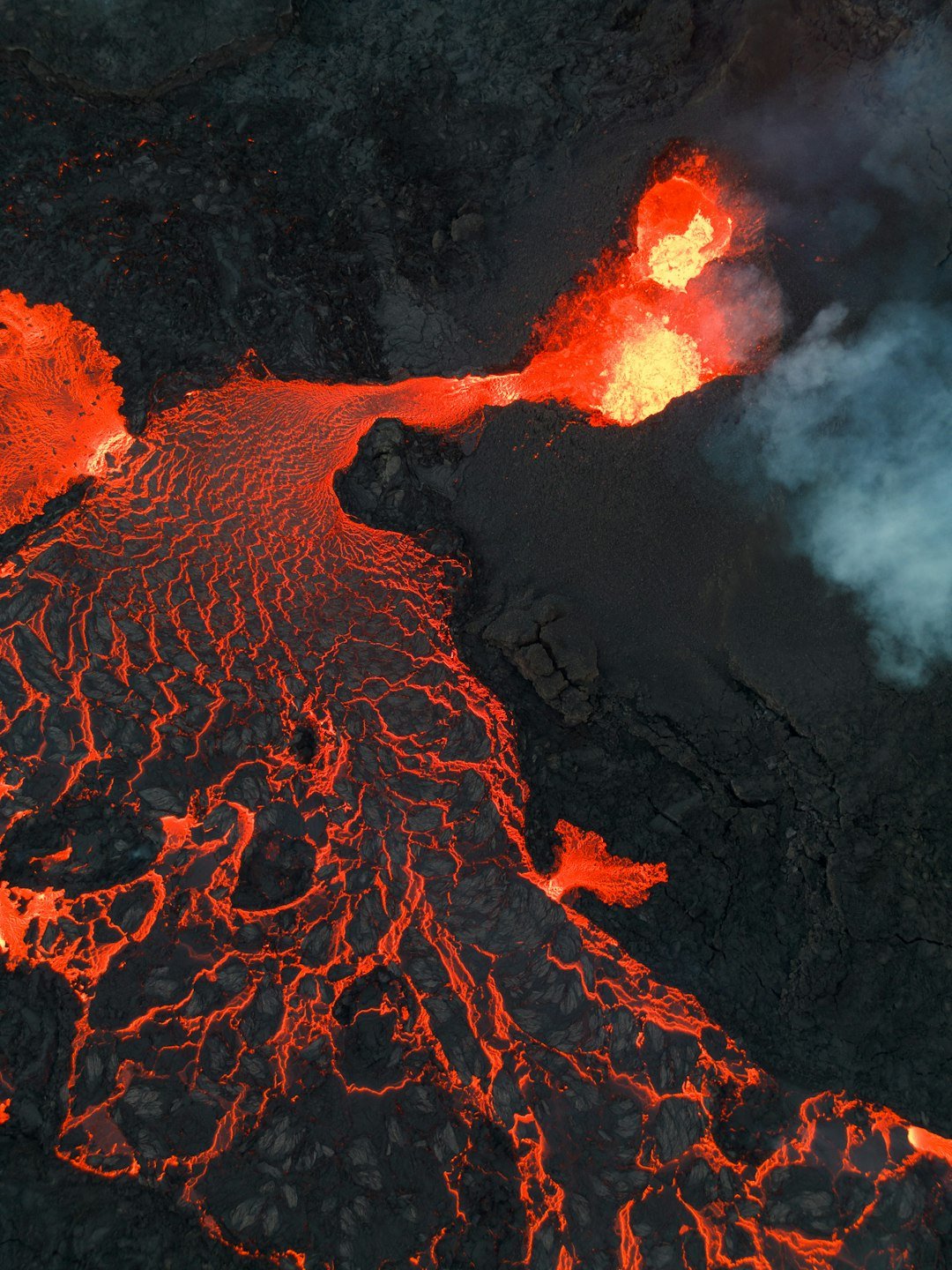 Volcanoes and Upheaval: The Triassic–Jurassic Reset (image credits: unsplash)