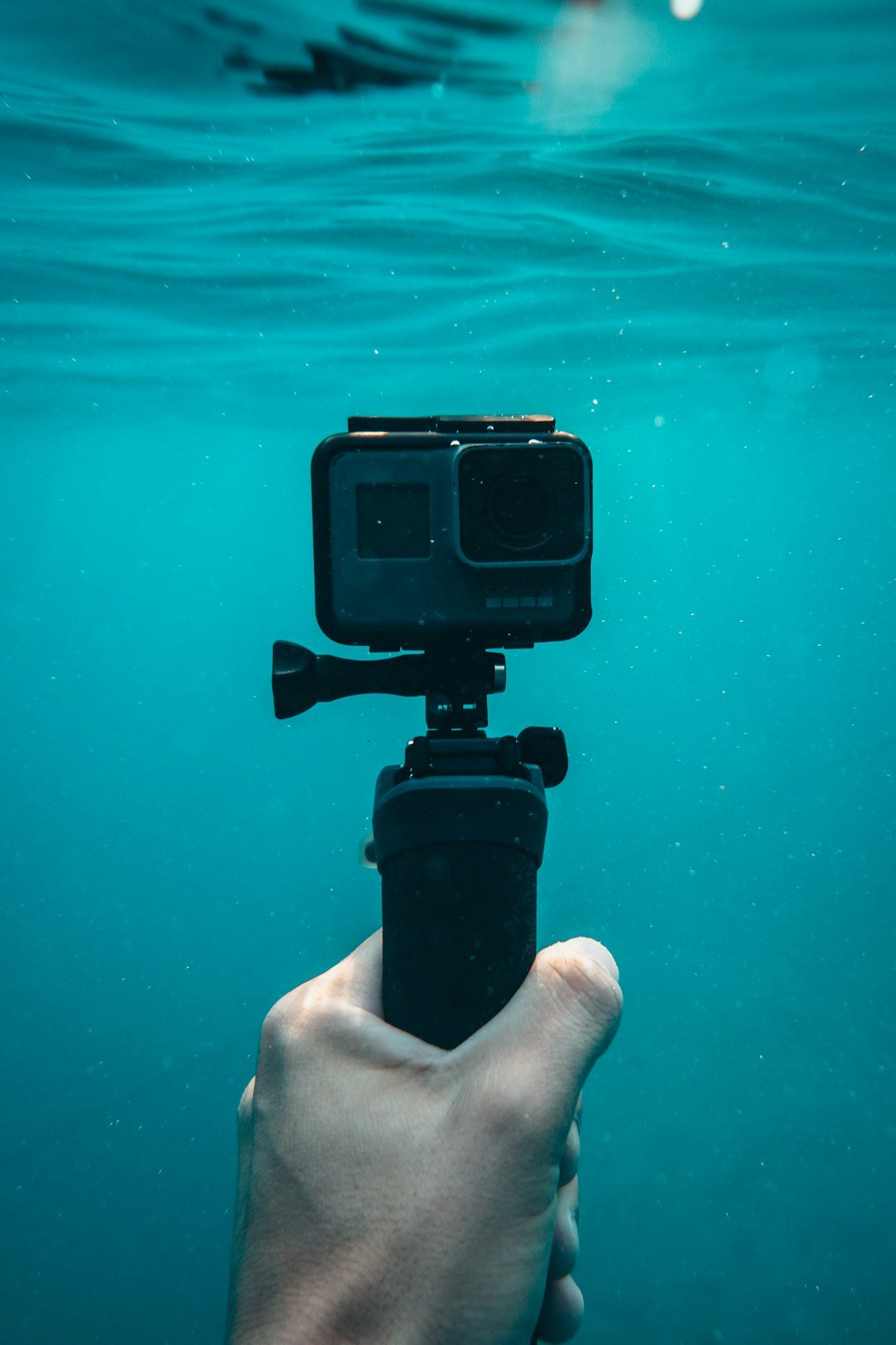 The Future Landscape (image credits: unsplash)