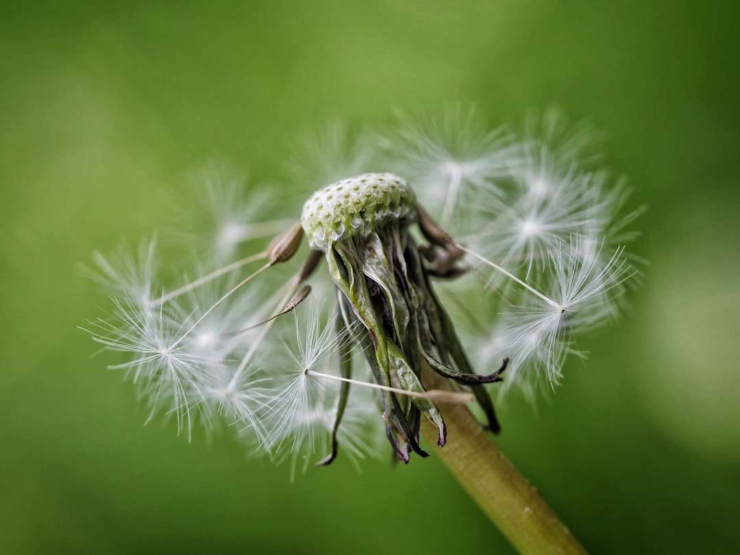 Why It Matters (image credits: unsplash)