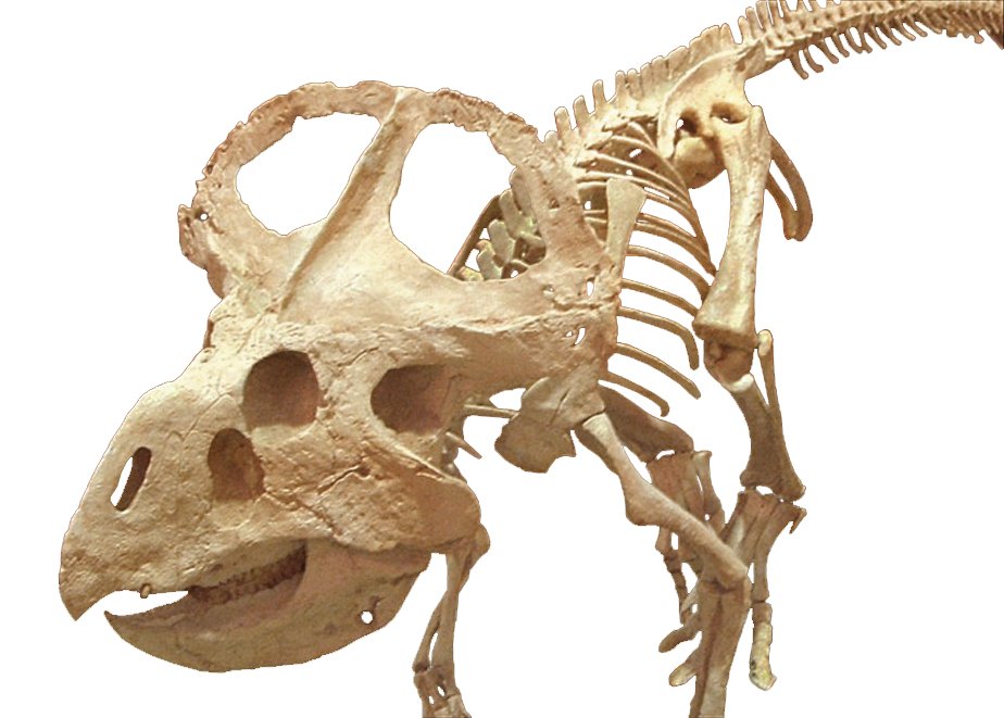 From Ancient Tools to Modern Science (image credits: wikimedia)