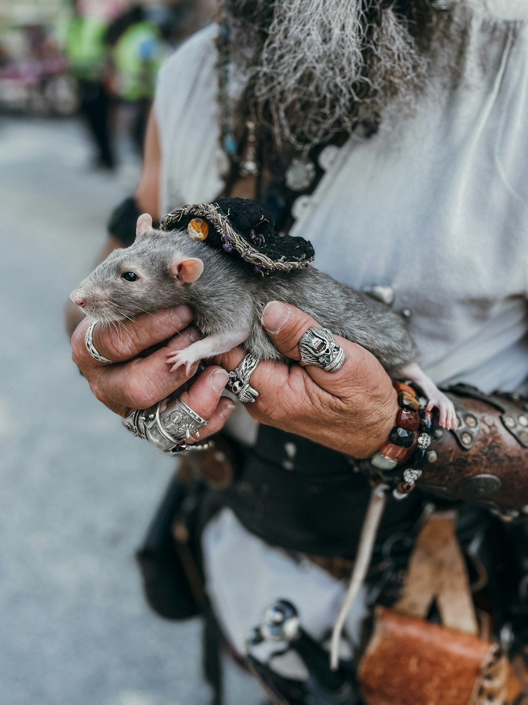 Inside a Super Sniffer (image credits: unsplash)