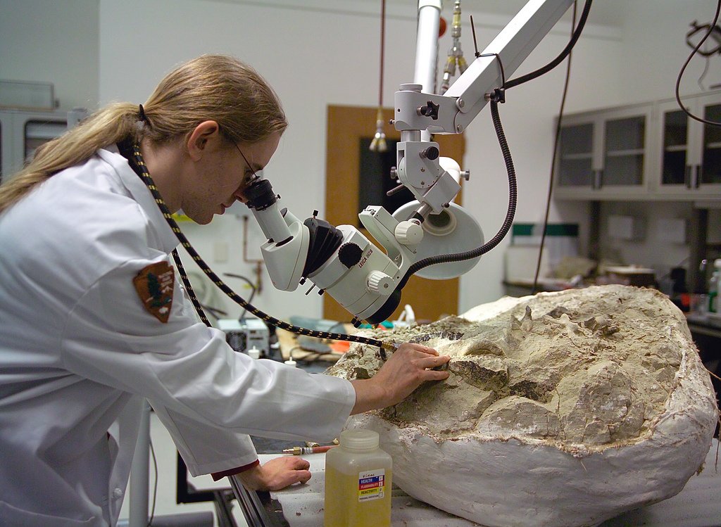 The Invisible Evidence: Isotopes, Microfossils, and Ancient Chemistry (image credits: wikimedia)