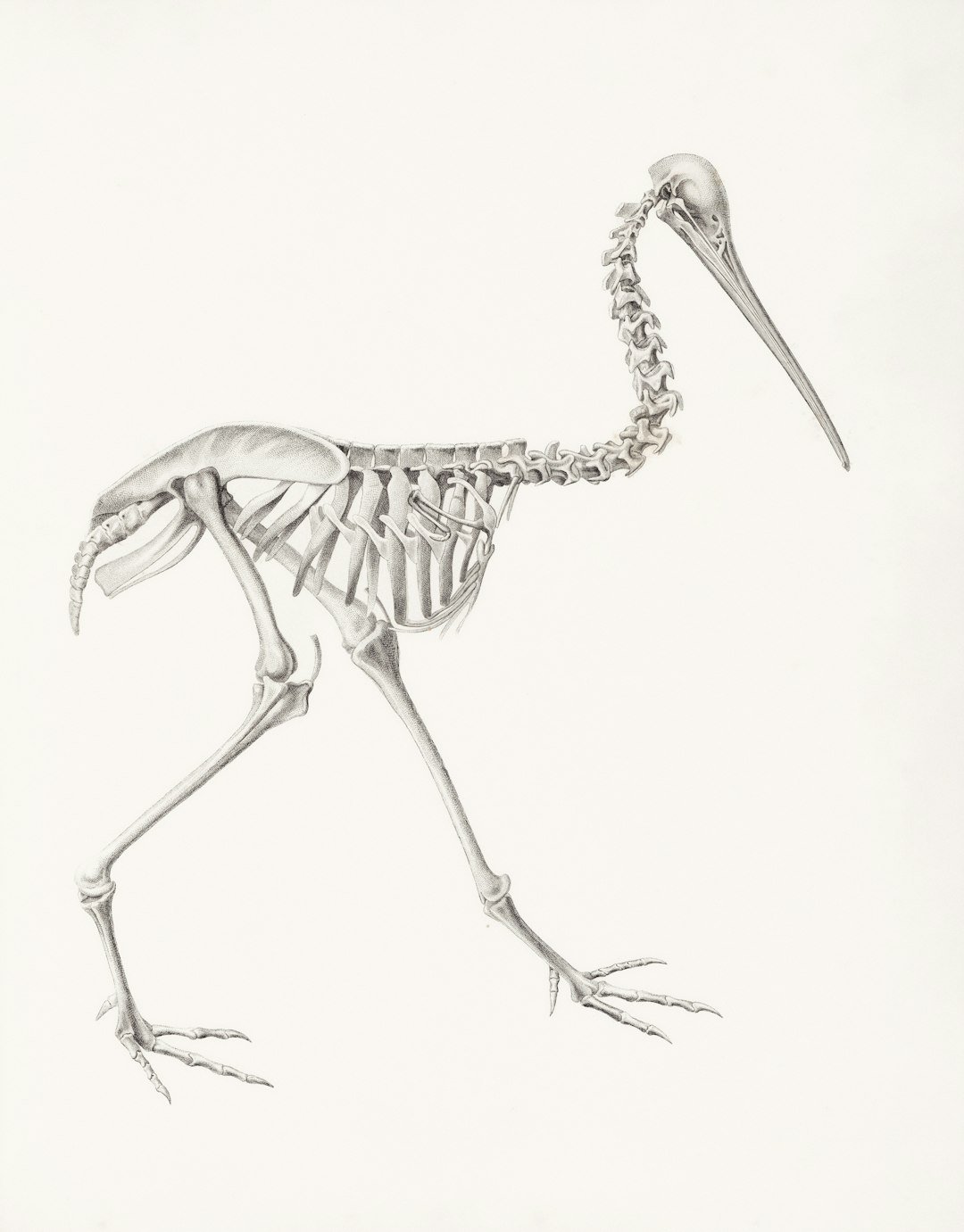 The Future Landscape (image credits: unsplash)