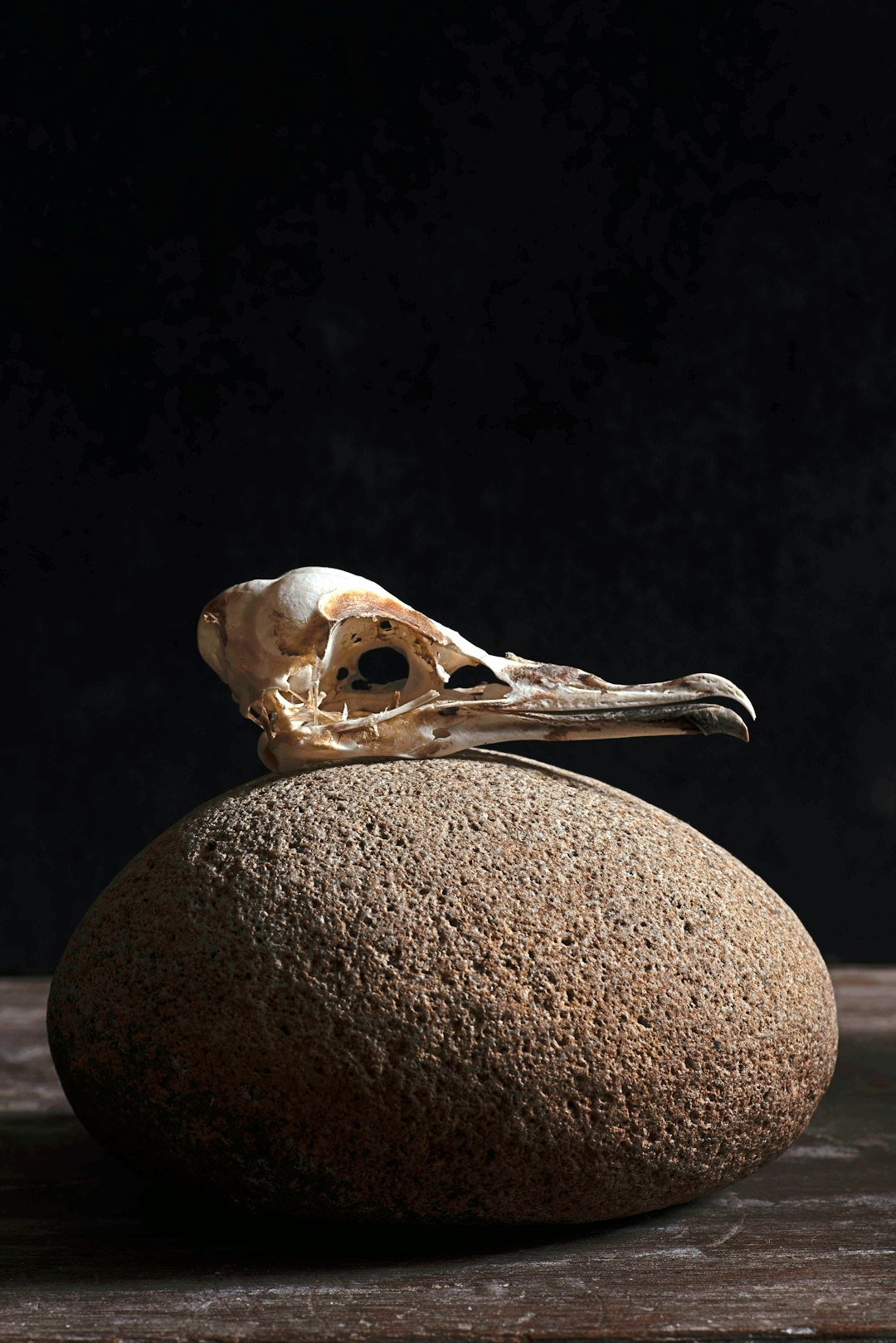 How You Can Help (image credits: unsplash)