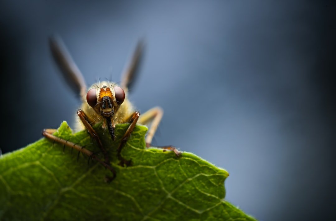 Inside the Strike: Vision, Math, and Muscle (image credits: unsplash)