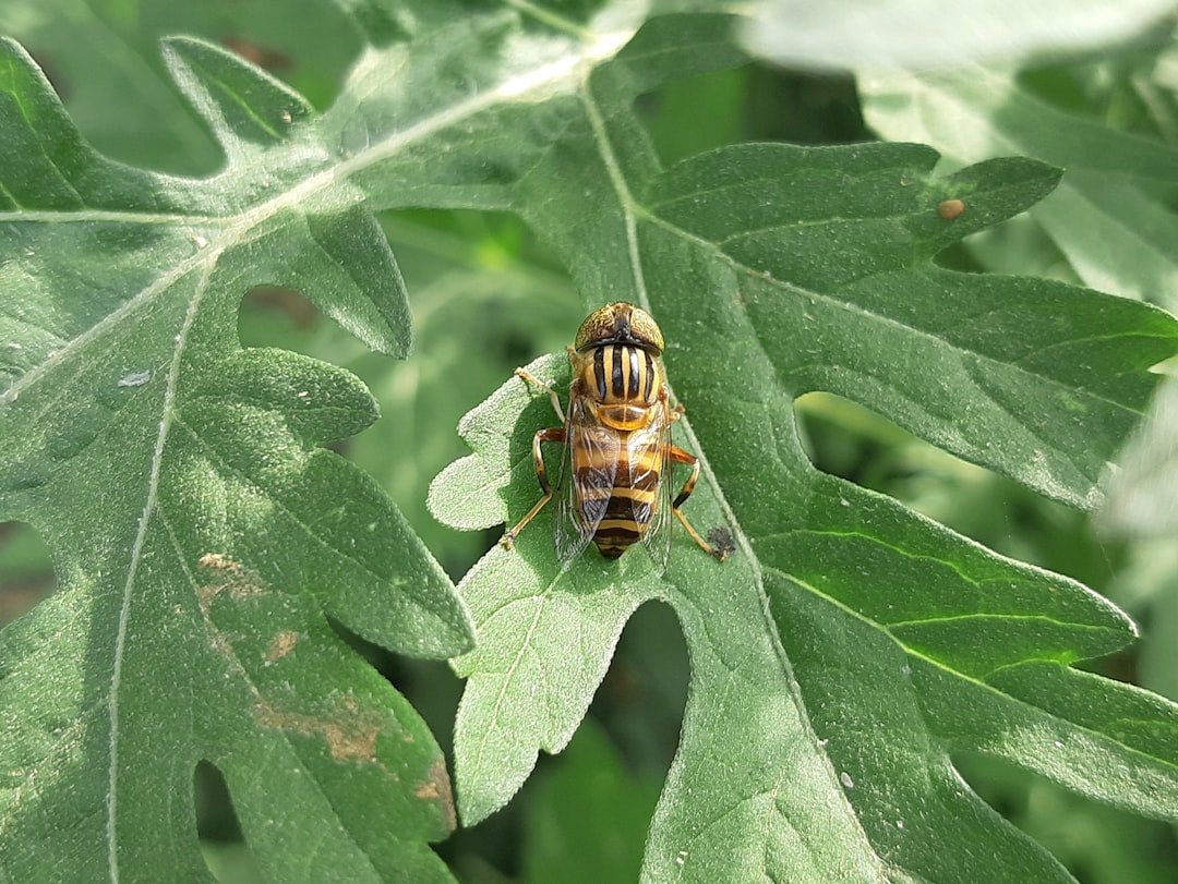 Conclusion (image credits: unsplash)