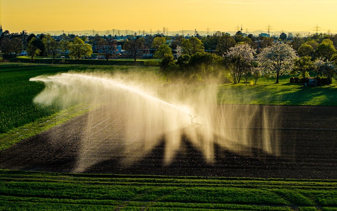 Water, Heat, and the Microbial Turn (image credits: unsplash)