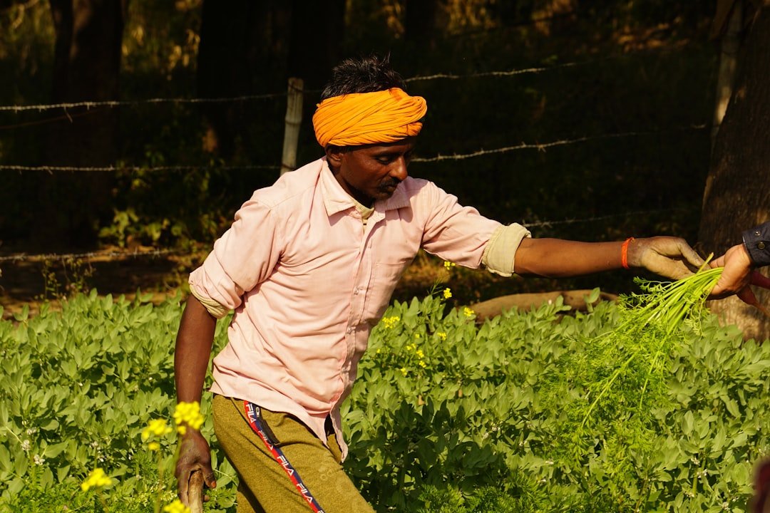 Rethinking Resilience on the Farm (image credits: unsplash)