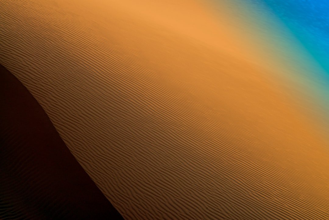 The Hidden Clues (image credits: unsplash)