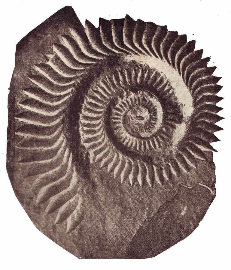 The Hidden Clues (image credits: wikimedia)