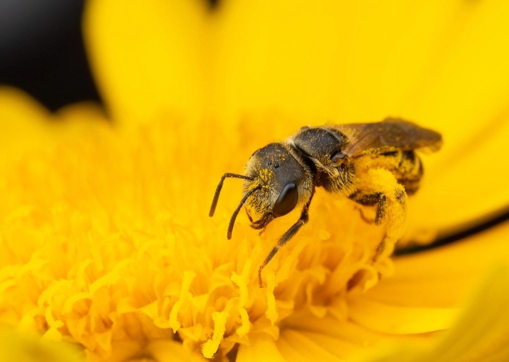 The Hidden Clues (image credits: rawpixel)