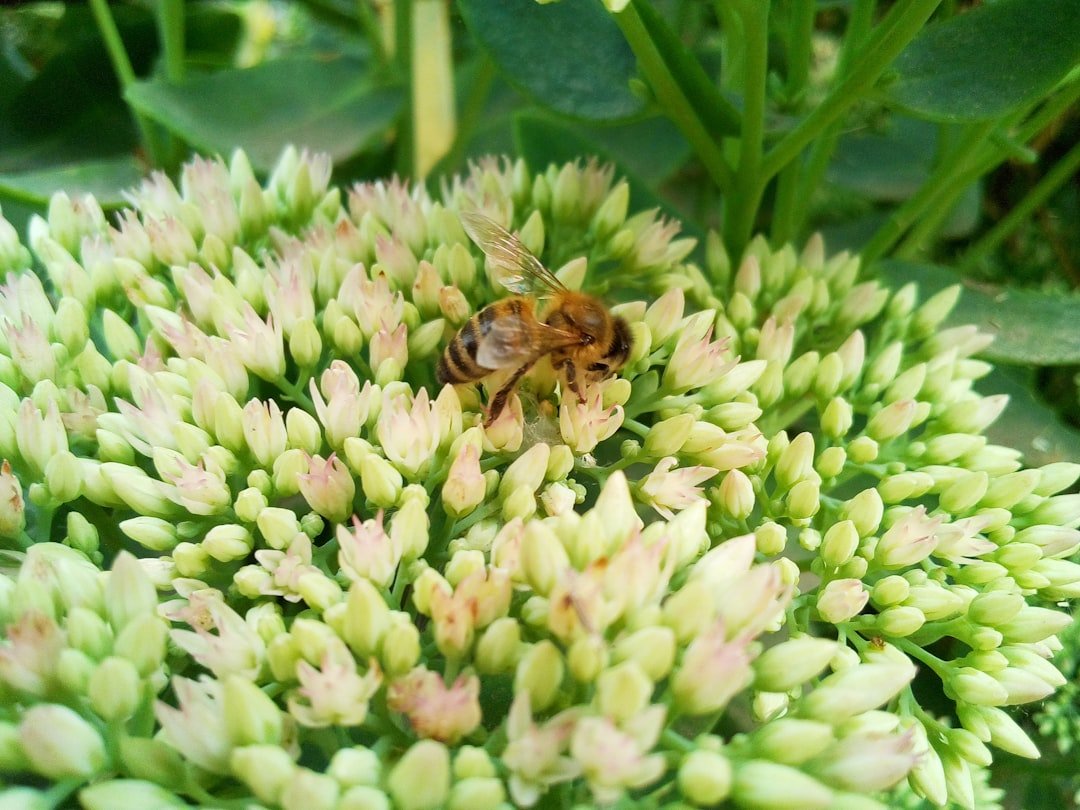 Global Perspectives (image credits: unsplash)