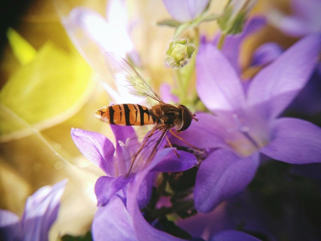 Closing Thoughts (image credits: rawpixel)