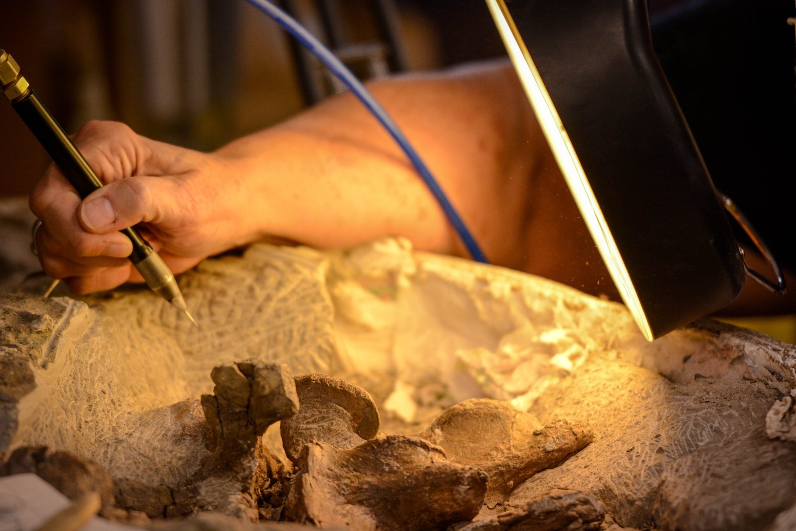 From Ancient Tools to Modern Science (image credits: wikimedia)