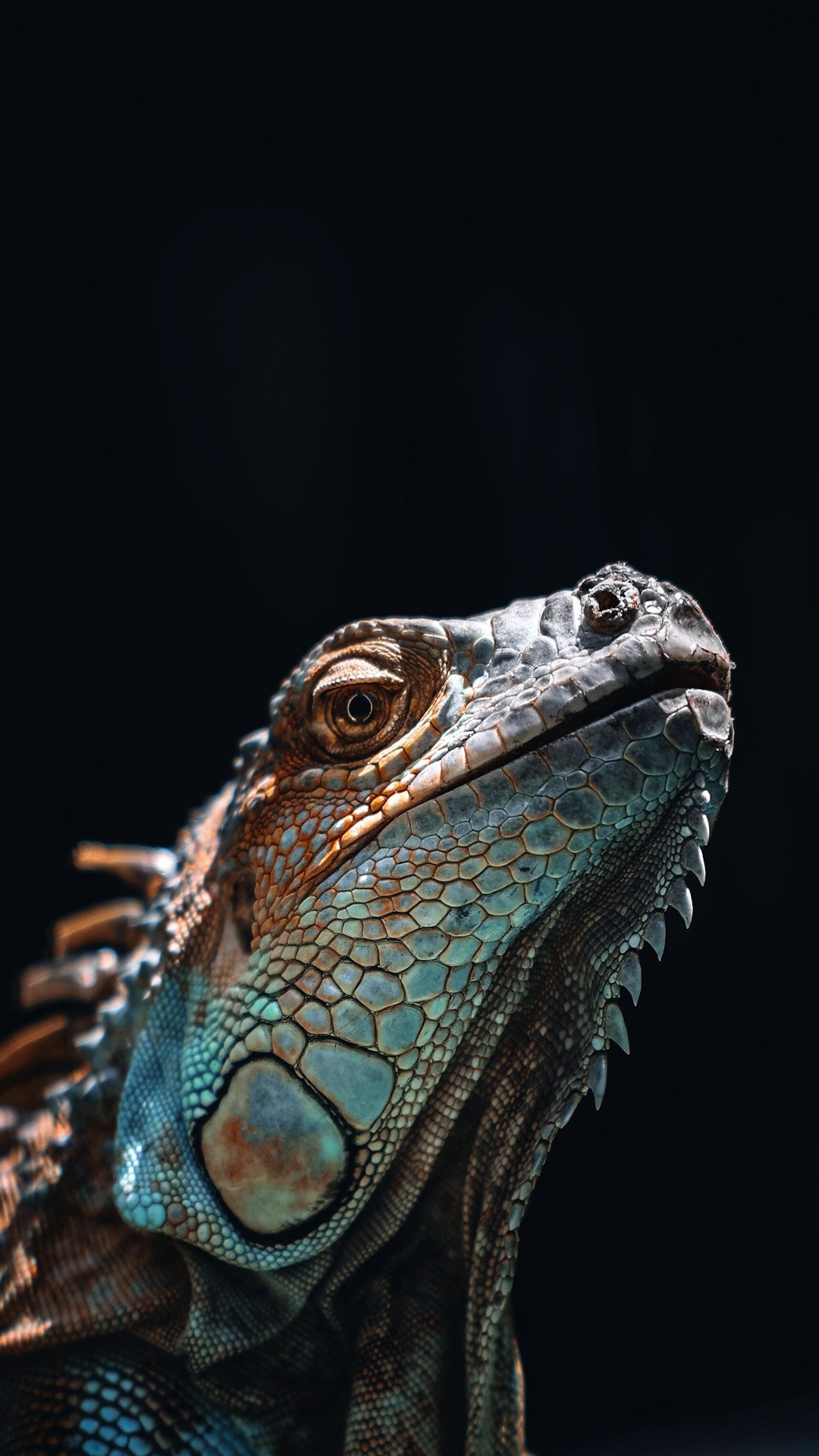 The Future Landscape (image credits: unsplash)