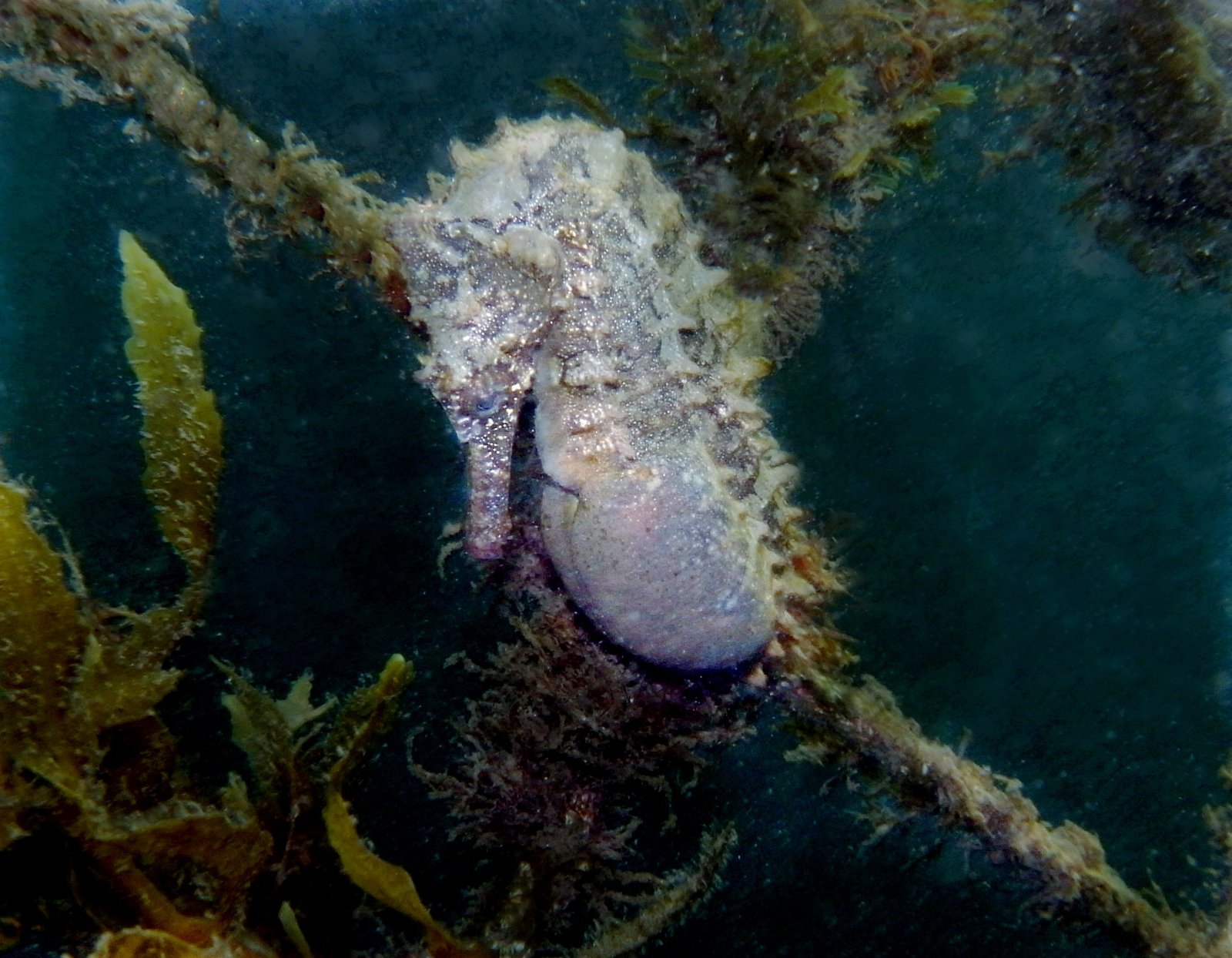 The Hidden Clues (image credits: wikimedia)